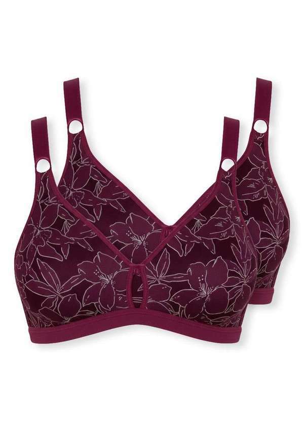 Vista 2 Kit com 2 Sutiãs Sustentação Olimpo Anizete Demillus 61741 Taça B Vinho-Barolo Demillus